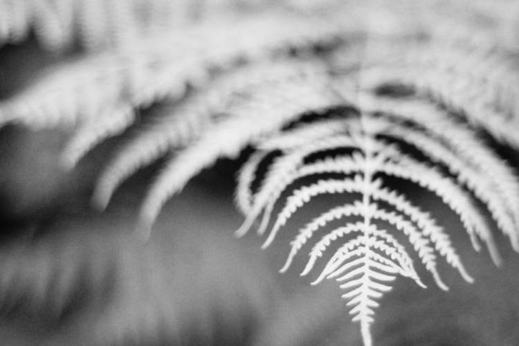 Benefits von Trainings