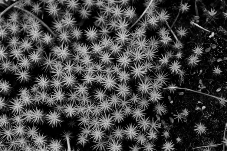 Fortbildungen nach Maß